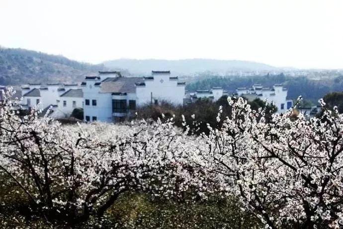 为什么网约车保险比出租车保险贵一半？游戏画面