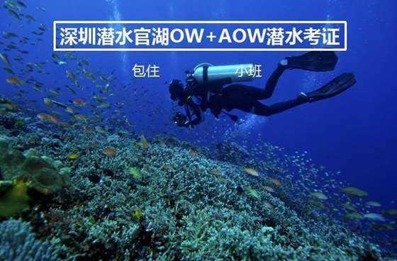 绝了!想上热搜想疯了吧…