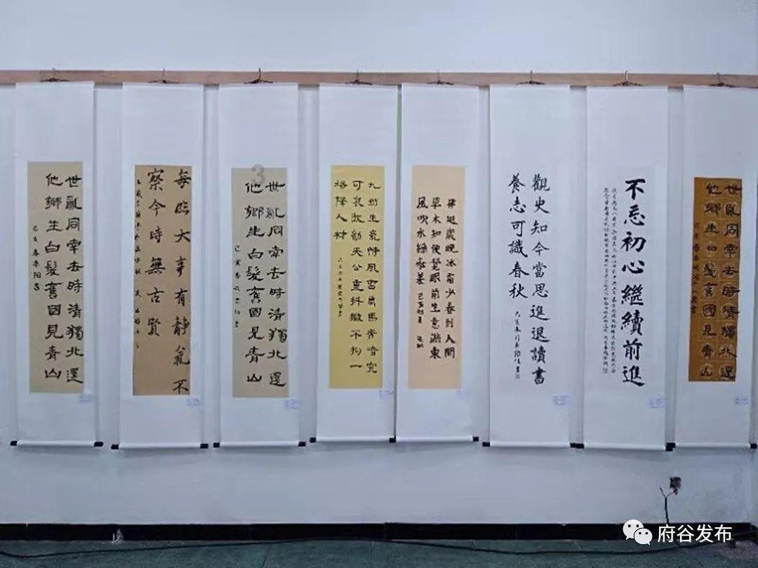 广西人大代表、政协委员呼吁推动蔗糖全产业链发展