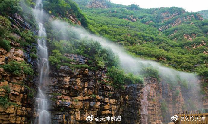 救援小蝙蝠
